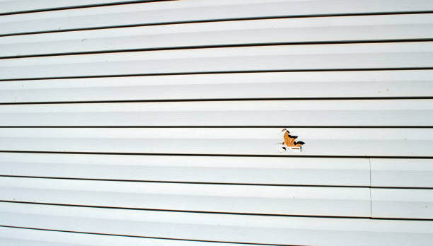 Best Steel Siding Installation  in Greensboro, GA